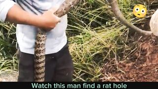 Watch this man find a rat hole | entertainment video