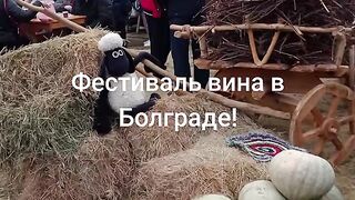 ФЕСТИФАЛ НА ВИНОТО В БОЛГРАД