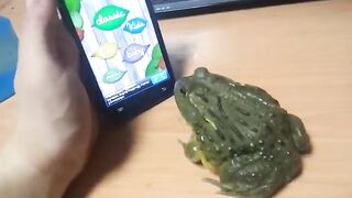 Funny frog hahaa