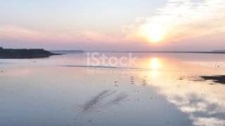 Aerial photography of a group of wild geese 4K stock video