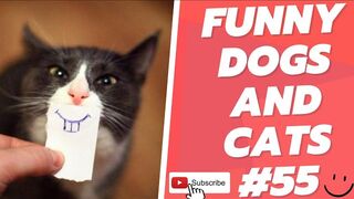 Funny Animal Videos 2022 Best Dogs And Cats Videos ???????? # 55.