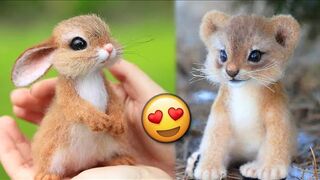 Cute Baby Animals Videos ???????? TikTok Compilation 2023 .