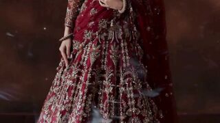 Pakistani Wedding Fashion 2024