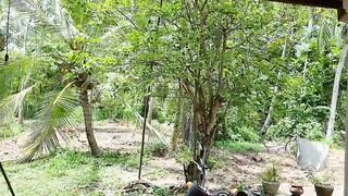 Giant Squirrel in Sri Lanka.