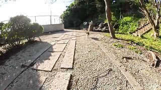 Cute cats climb onto benches and ask people to touch them