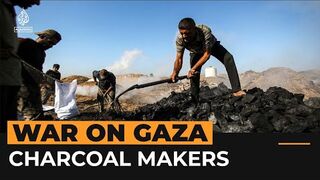 Palestinians turn wood into charcoal for livelihood