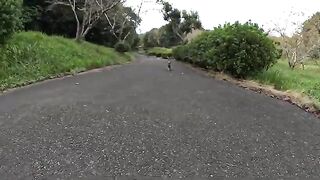 The tortoiseshell cat invites people to the bench with its sweet voice