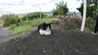 The cat-head of the station does not allow people to get on the train.