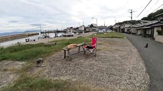 Cute cats occupy benches and chairs and take a nap