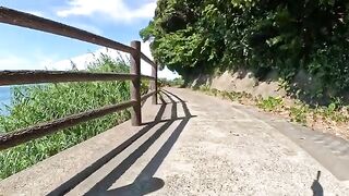 Cute cats greet people on the road overlooking the beautiful ocean