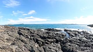 A cute cat scratches an itchy cheek on a rocky seashore.