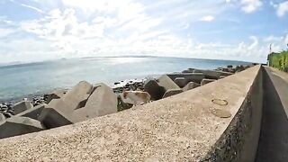 A cute cat walks along the embankment, looking at the beautiful sea