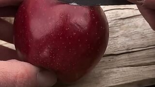 How to Start a Fire with Just an Apple and a Broken Lighter – You Won’t Believe It