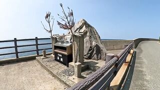 A tabby cat relaxes in the sea breeze behind a large stone