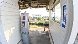 The cat-head of the station greets passengers, burying his cheeks in his legs.