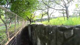 A gentle Siamese cat relaxes on the block wall and waves his penis