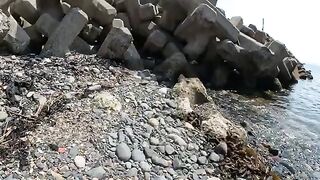 Kitten brothers patrol the beach with older cats