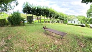 A fat cat rests on a bench with its tongue out.