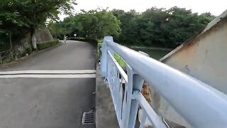 Two cats stopped me when I tried to cross the bridge and showed their paws