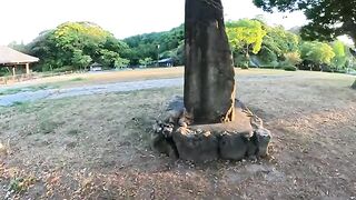 A cat lies down on a stone monument and bathes in the sunset.