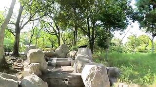 A black cat cools off in a dry river.