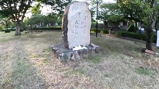 Unique cats gather around a stone monument to refresh themselves