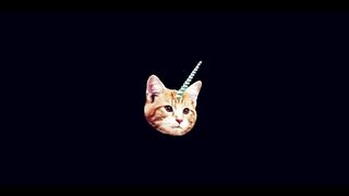 Astronomia - Coffin Dance Meme - Cats Cover