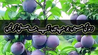 Beshak sabka Khyal rakhen.???????????? meri videos ko like Karen aur mere channel ko bhi subscribe Karen