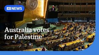 Australia backs UN proposal on Palestinian sovereignty