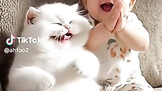 Cats and babies