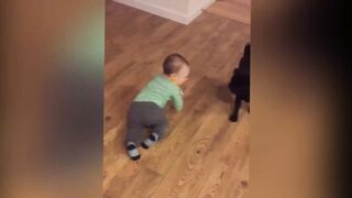 Cutest Babies Play With Dogs And Cats Compilation