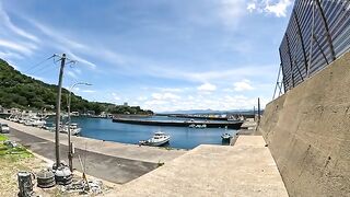 Three cats bathe in the cool sea breeze on the elevation of the port.