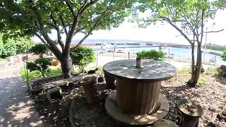 A panda-like cat climbs onto a table by the sea and a man touches it