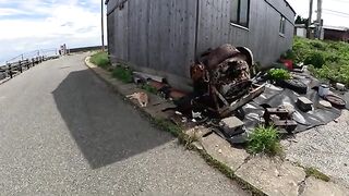 Cats gather around the blast furnace and people touch them