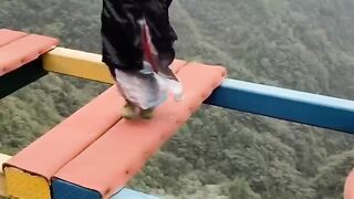 Bungee jumping adventure