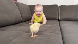 Baby Playing With Bird Kid