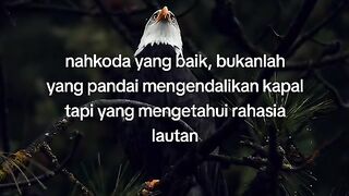 Kata kata,story, motivasion, qoute