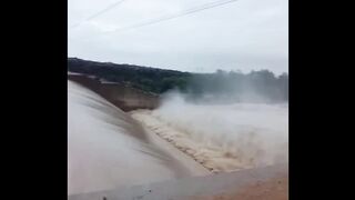 Swimming in Flood Water