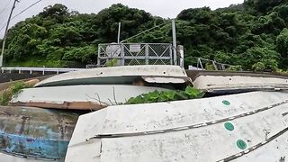 The cat, sheltering from the rain in the clearing between the boats, came to see the man