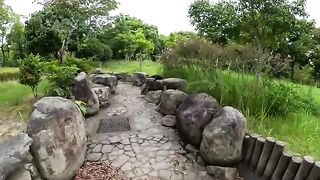 A cautious black cat runs away from people in the garden.