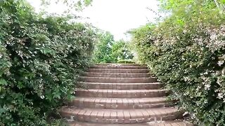 A cute cat greets people in a vulnerable position on the stairs.