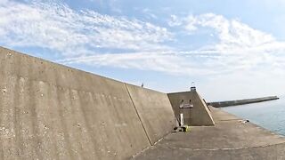 A cat walking along the embankment returns to a cool place together with its fellow cats.