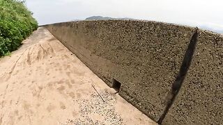 Tortoiseshell cat enters a small hole and looks at the beautiful sea