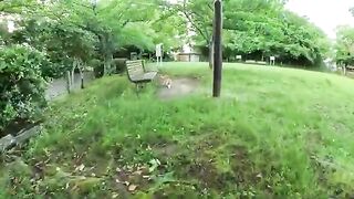 A cute cat rolls on the ground greeting people