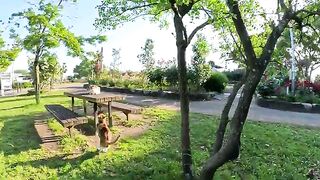 Cute calico cat sisters relax looking at a flower bed with roses