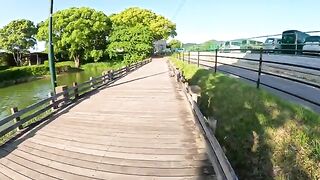 The cat uses facial expressions to fly onto the bridge with its belly facing the sky.