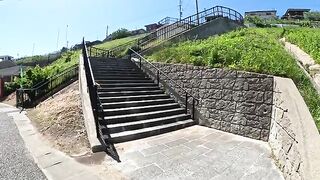 The cat relaxes when a person touches it on the stairs