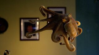 Octopus Playtime | Octopus In My House