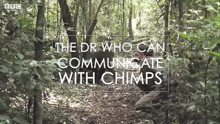 The Doctor Who Can Communicate With Chimps | Game Changers