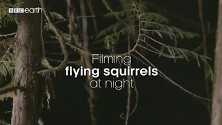 Filming Flying Squirrels at Night | Eden: Untamed Planet